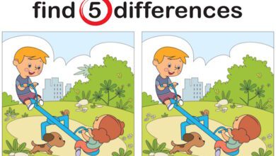 Find differences puzzle, Cute kids having fun on seesaw at playground