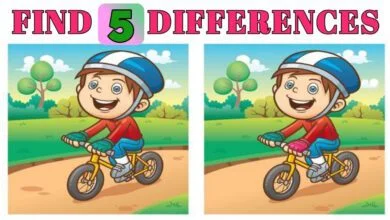 Optical Illusion Find 5 Differance cycle and boy