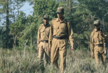 Forest Guard
