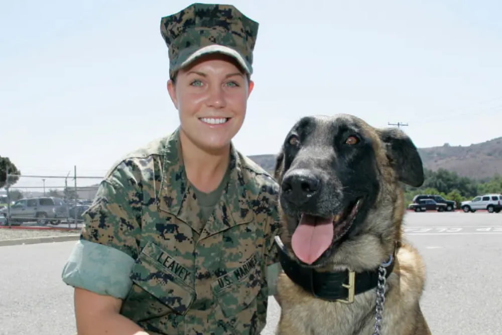 Megan Leavey Married Matt Morales Relationship Rojgar.Live