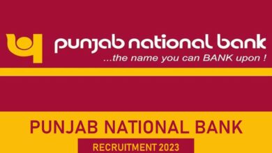 PNB Recruitment – 240 Sr Manager Manager amp Officer Posts Apply Now