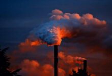 Stroke Risk Increases Within 5 Days of Exposure to Air Pollution